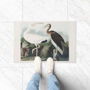 Audubon White lbis Bird Wildlife Painting Doormat