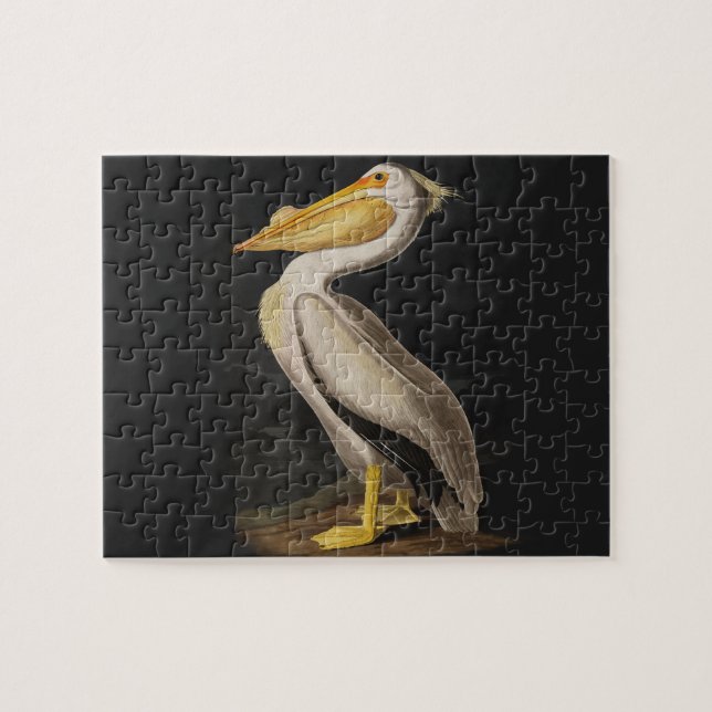Audubon White Pelican Bird America Jigsaw Puzzle (Horizontal)