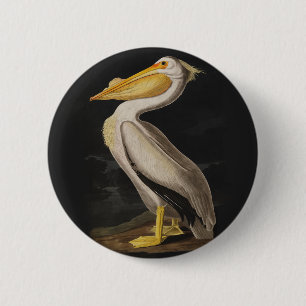 Audubon White Pelican Bird Vintage Print 6 Cm Round Badge