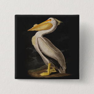 Audubon White Pelican Print 15 Cm Square Badge