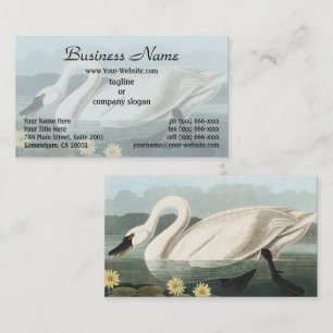 Audubon White Swan Waterfowl Painting Business Card