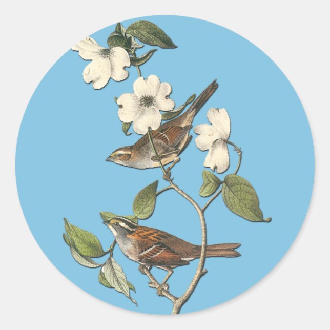 Audubon White Throated Sparrow Bird Art Stickers (Front)