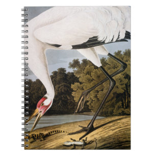 Audubon: Whooping Crane Spiral Notebook
