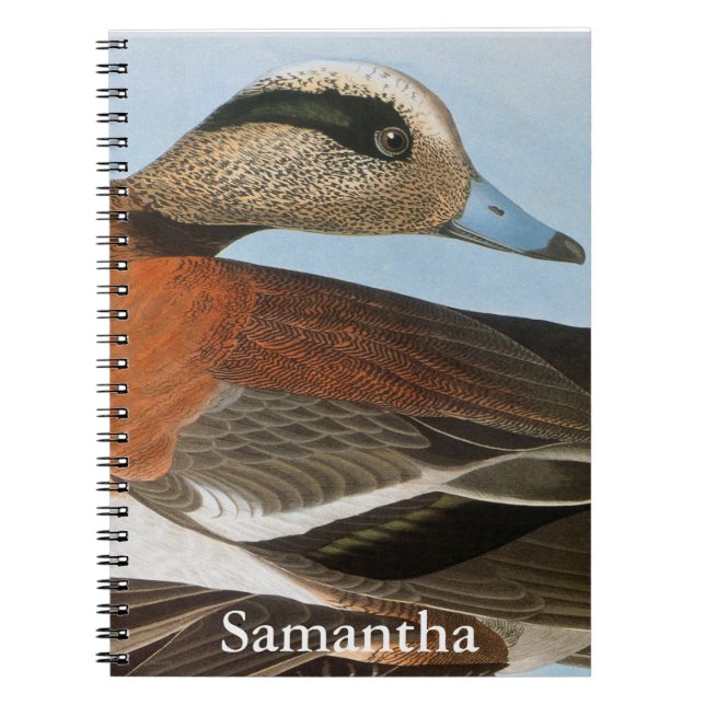 Audubon: Wigeon Spiral Notebook (Front)