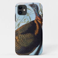 Audubon: Wild Turkey