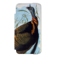 Audubon: Wild Turkey
