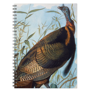 Audubon: Wild Turkey Spiral Notebook