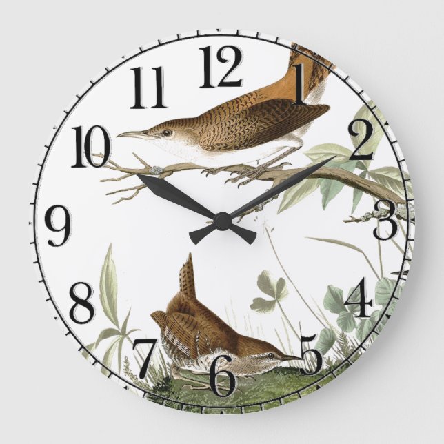 Audubon Wren Birds Animal Wildlife Wall Clock (Front)
