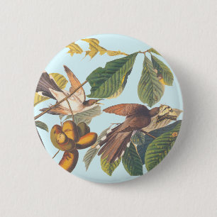 Audubon Yellow Billed Cuckoo 6 Cm Round Badge