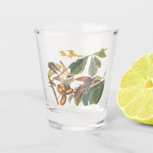 Audubon Yellow-Billed Cuckoo Birds in Fruit Tree Shot Glass