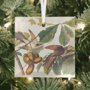 Audubon Yellow Billed Cuckoo Glass Tree Decoration