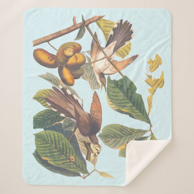 Audubon Yellow Billed Cuckoo Sherpa Blanket (Front)