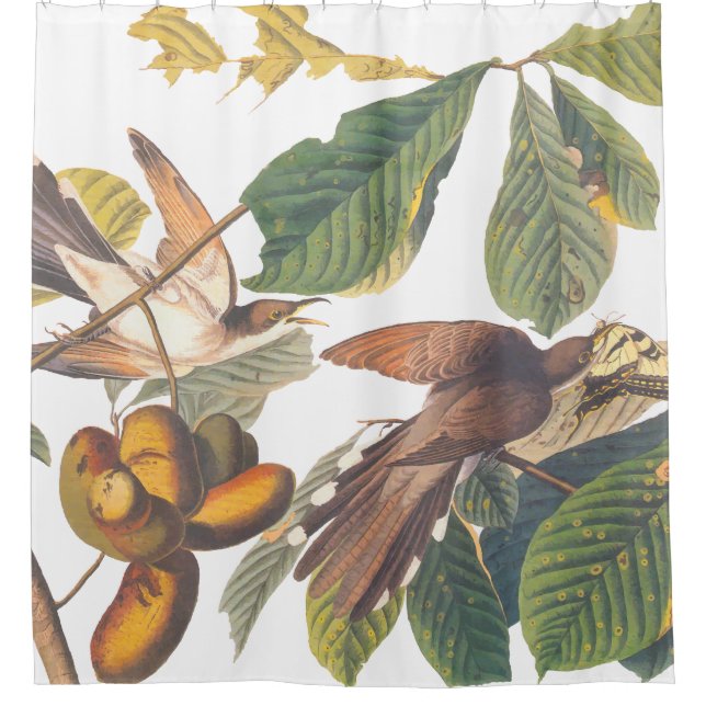 Audubon Yellow Billed Cuckoo Shower Curtain (Front)