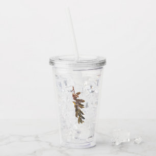 Audubon Yellow throated Warbler Song Bird Acrylic Tumbler
