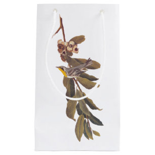 Audubon Yellow throated Warbler Song Bird Small Gift Bag