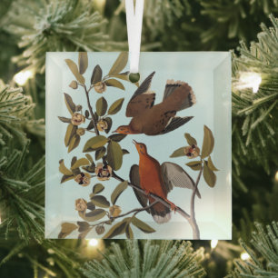 Audubon Zenaida Dove with Flowers Glass Tree Decoration