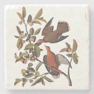 Audubon Zenaida Dove with Flowers Stone Coaster