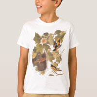 Audubon's Baltimore Oriole Trio