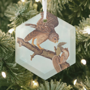 Audubon's Barred Owl and Squirrel Odd Friends Glass Tree Decoration