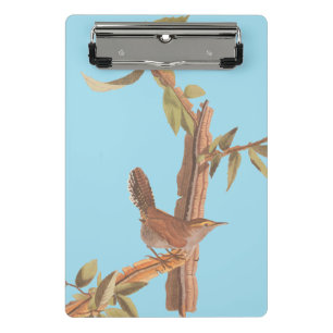 Audubon's Bewick's Long Tailed Wren Song Bird Mini Clipboard