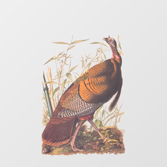 Audubon's Birds of America Wild Turkey Autumn Bird (Sheet)