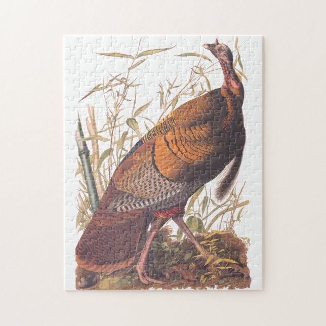 Audubon's Birds of America Wild Turkey Autumn Bird Jigsaw Puzzle (Vertical)