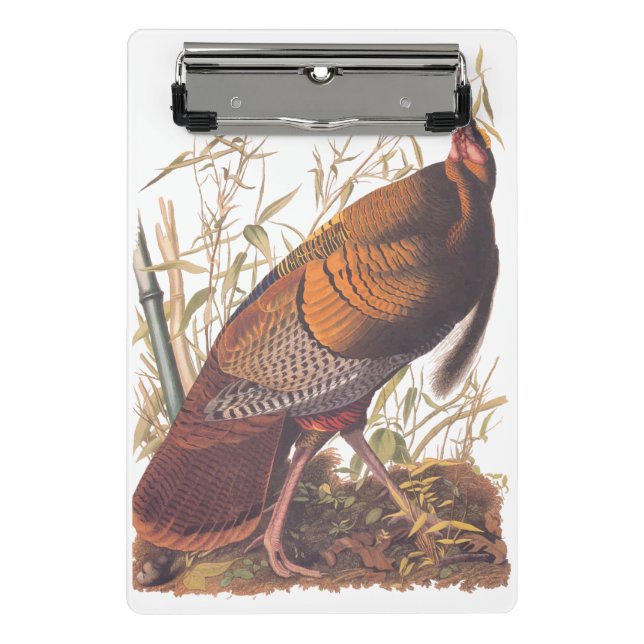 Audubon's Birds of America Wild Turkey Autumn Bird Mini Clipboard (Front)