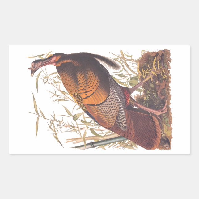 Audubon's Birds of America Wild Turkey Autumn Bird Rectangular Sticker (Front)