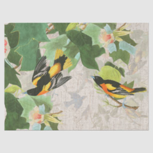 Audubons Birds Wildlife Animal Floral Tissue Paper