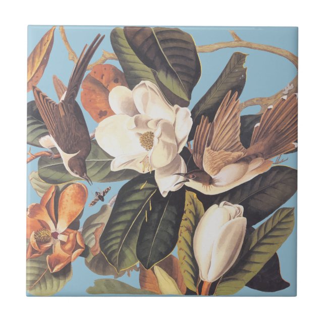 Audubon's Black Billed Cuckoo Tile (Front)