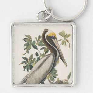 Audubon's Brown Pelican Key Ring