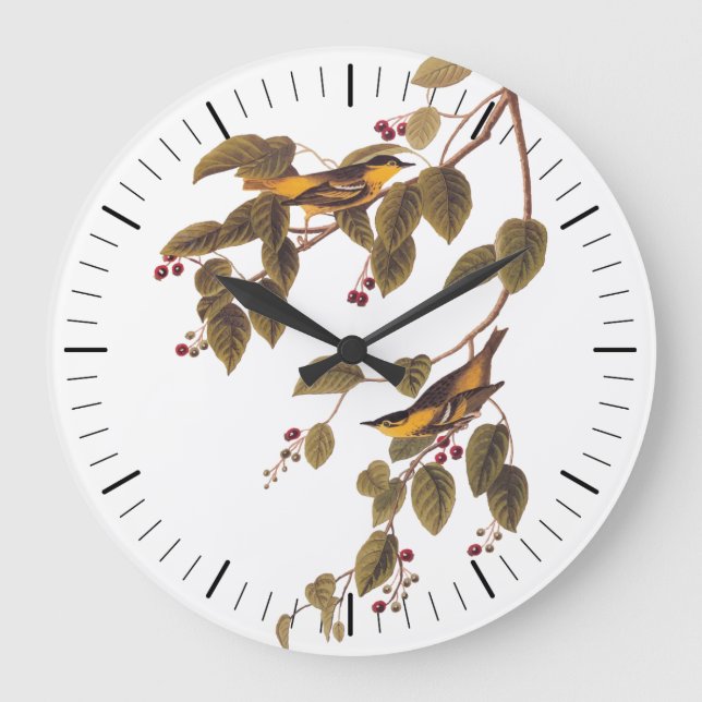 Audubon's Carbonated Warbler Bird on Service Tree Large Clock (Front)