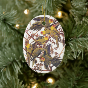 Audubon's Carolina Parakeet Ceramic Tree Decoration
