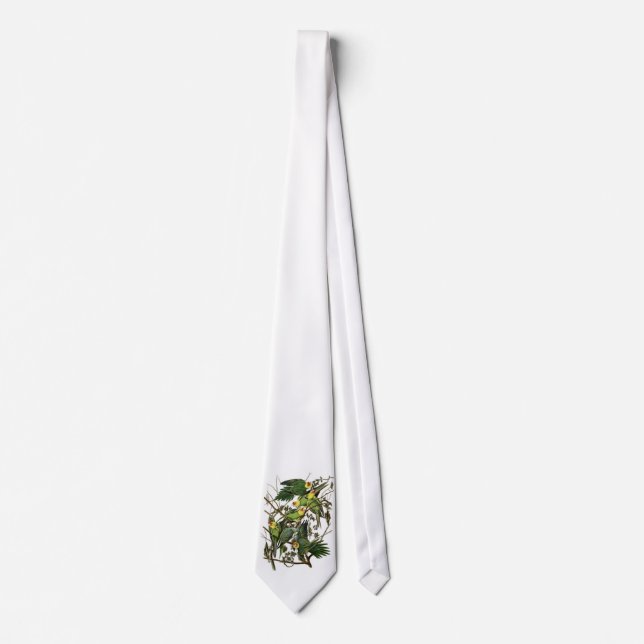 Audubon's Carolina Parakeets Tie (Front)