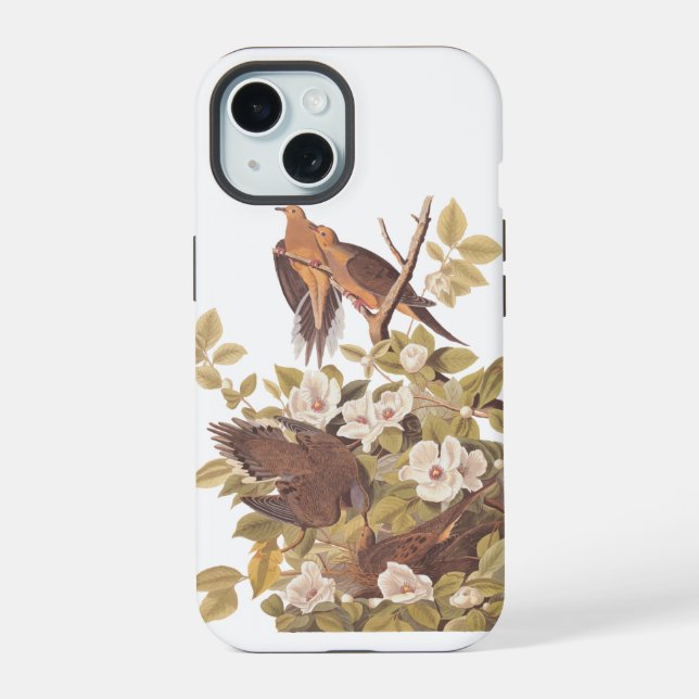 Audubon's Carolina Turtle Dove iPhone 15 Case (Back)