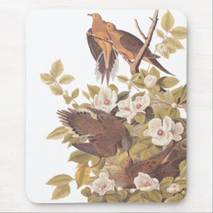 Audubon's Carolina Turtle Dove Mouse Pad