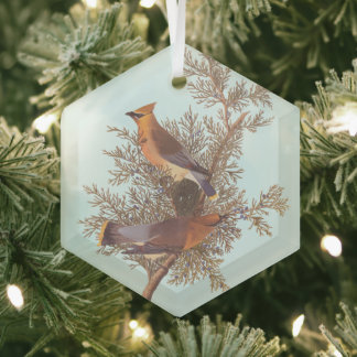 Audubon's Cedar Waxwing Bird Pair on Evergreen Glass Tree Decoration