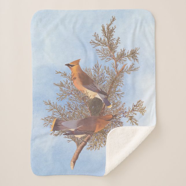 Audubon's Cedar Waxwing Bird Pair on Evergreen Sherpa Blanket (Front)