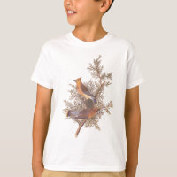 Audubon's Cedar Waxwing Bird Pair on Juniper Tree