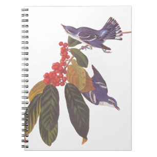 Audubon's Cerulean Warbler Birds with Bear Berries Notebook