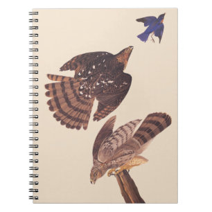 Audubon's Coopers Hawk Bird of Prey Spiral Notebook