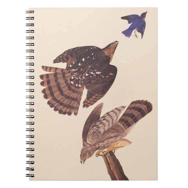 Audubon's Coopers Hawk Bird of Prey Spiral Notebook (Front)