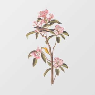 Audubon's Cuvier's Kinglet Bird on Pink Calico