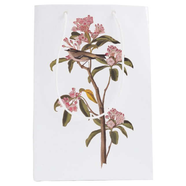 Audubon's Cuvier's Kinglet Bird on Pink Calico Medium Gift Bag (Front)