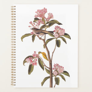 Audubon's Cuvier's Kinglet Bird on Pink Calico Planner