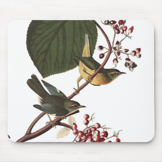 Audubon's Extra Warbler Mouse Pad (Front)