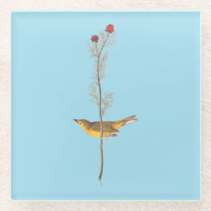 Audubon's Hooded Warbler Bird on Red Flower Glass Coaster