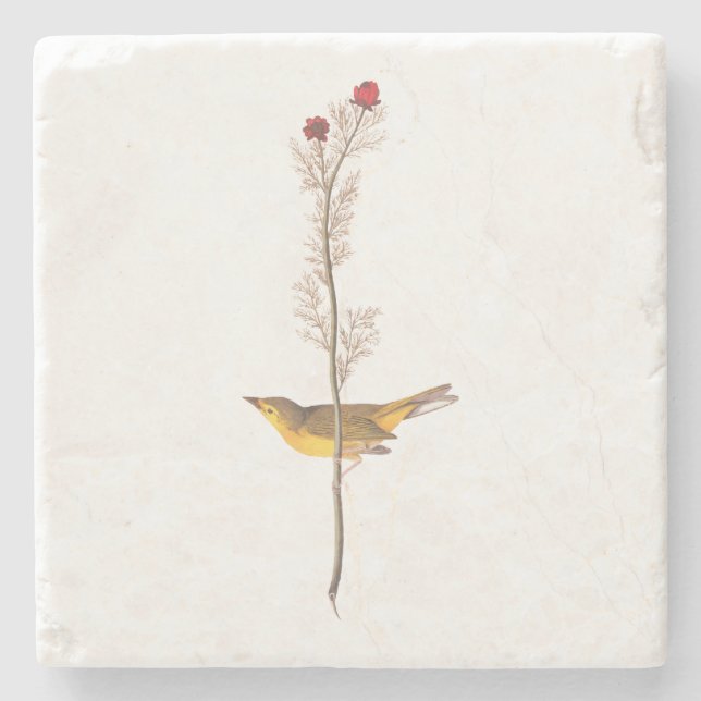 Audubon's Hooded Warbler Bird on Red Flower Stone Coaster (Front)