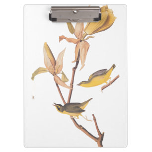 Audubon's Kentucky Warbler Bird Pair with a Spider Clipboard