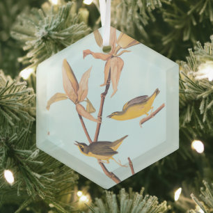 Audubon's Kentucky Warbler Bird Pair with a Spider Glass Tree Decoration